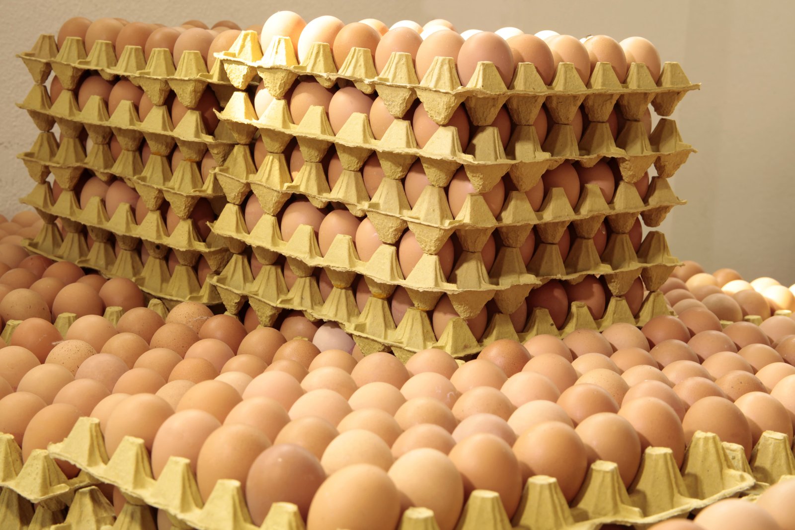 Vista de la granja avícola C&R en Choachí, Cundinamarca