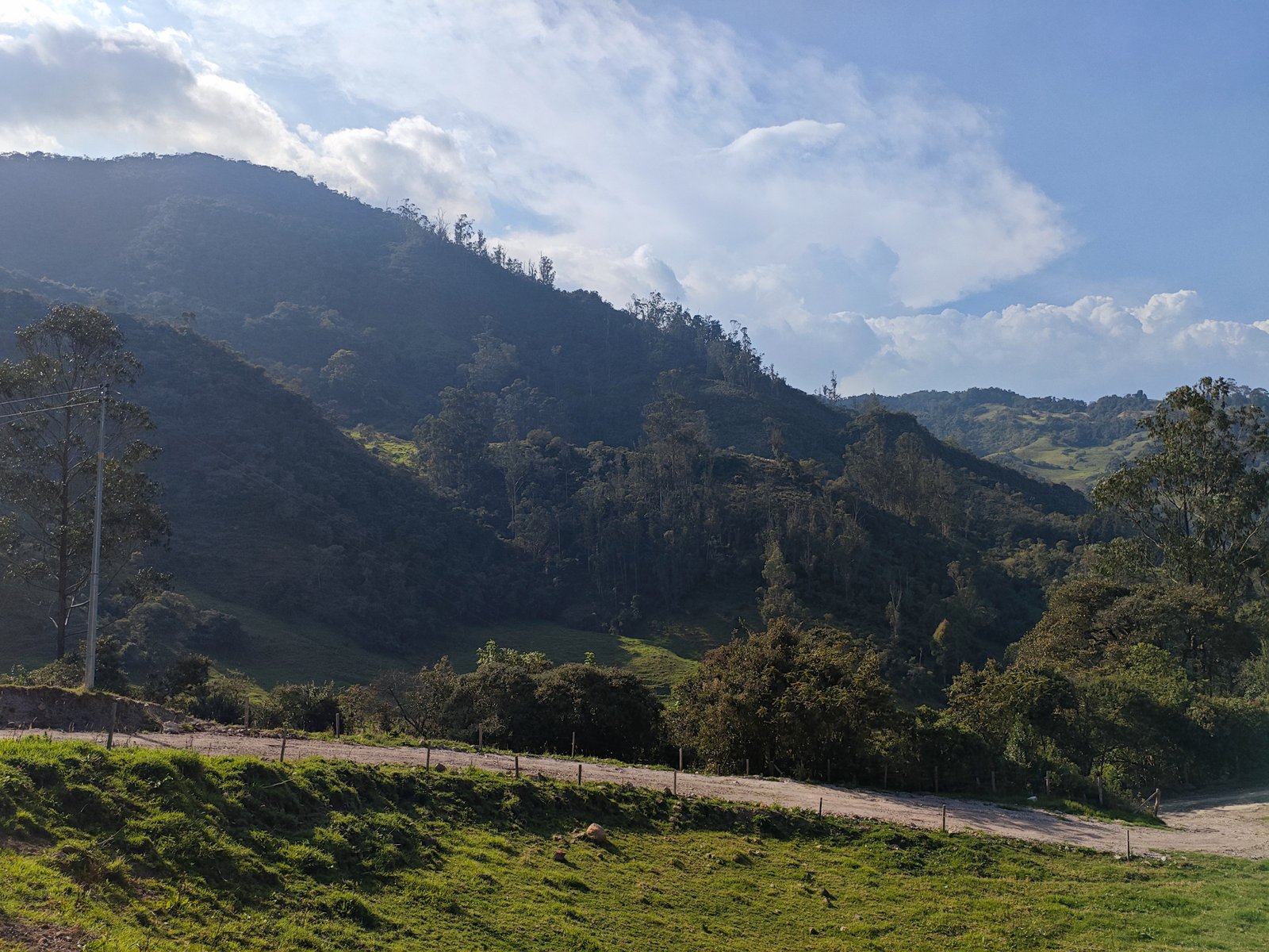 Selección y empaque de huevos frescos